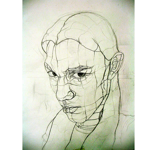 Cross contour line drawing by Aaron Earley
