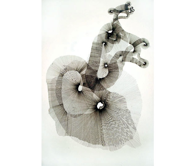 Contemporary line drawing by Peter Root