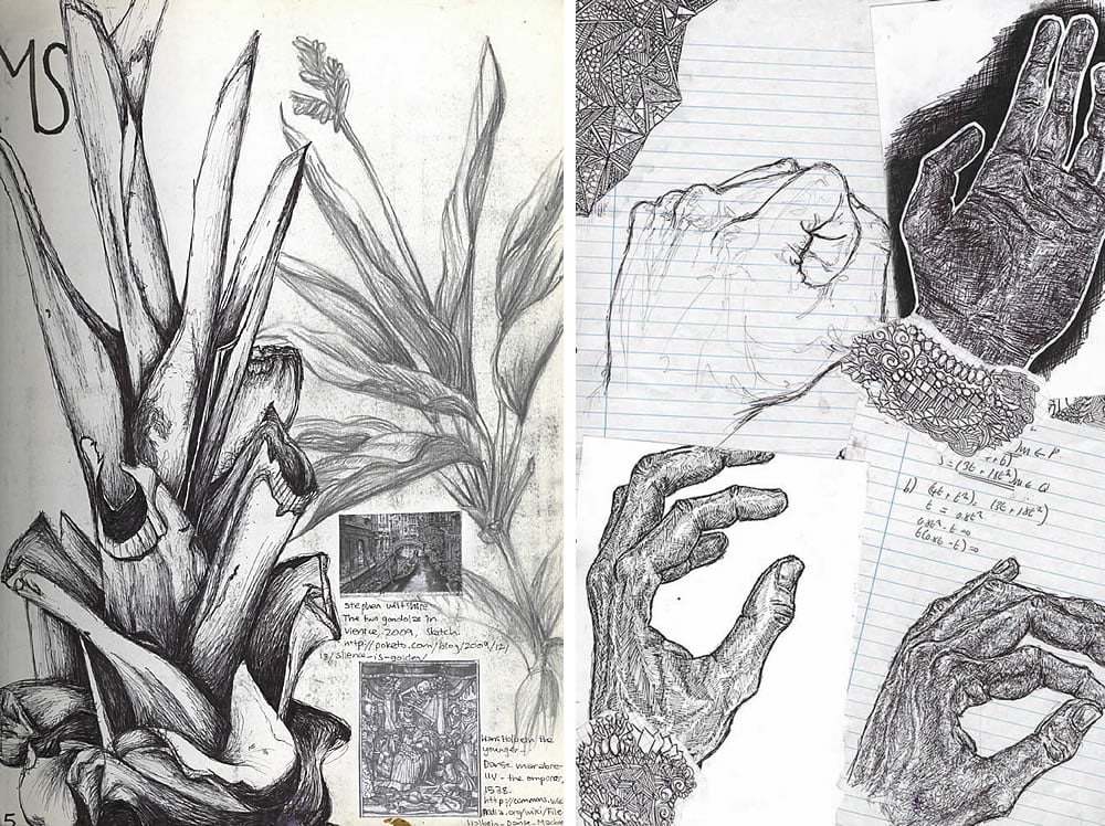 plants and hands: sketchbook