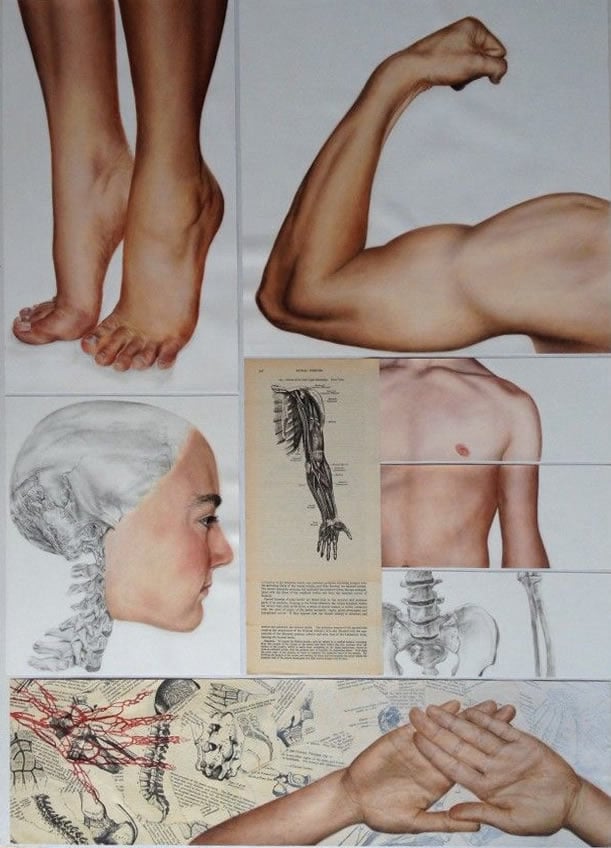 Study of the human body: A Level Art