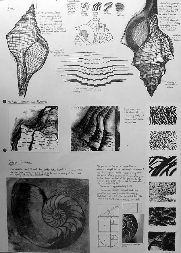 line and texture ideas for a GCSE art project