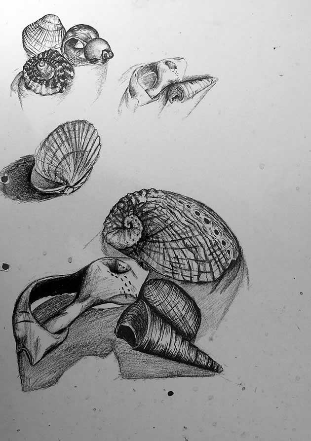 observational drawings in a GCSE art sketchbook