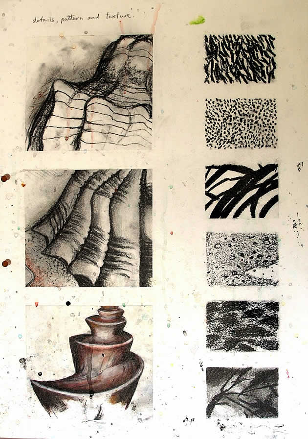 charcoal drawings of shells - gcse art sketchbook