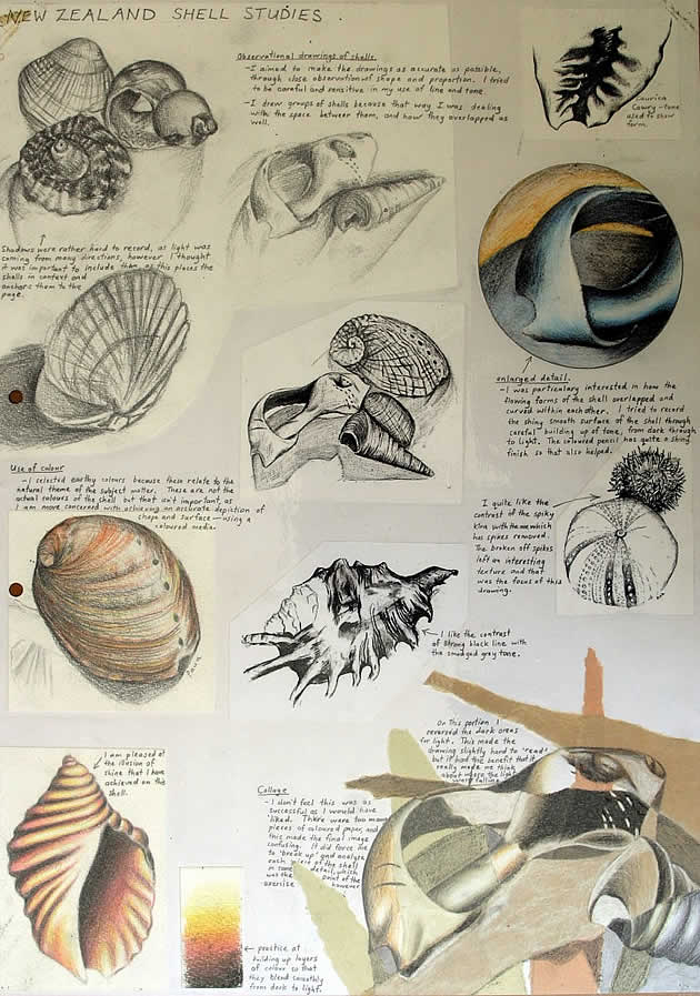 gcse art sketchbook showing natural forms