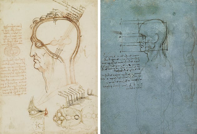 Leonardo da Vinci line drawings