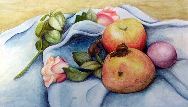 water colour pencil still life - an igcse art exam