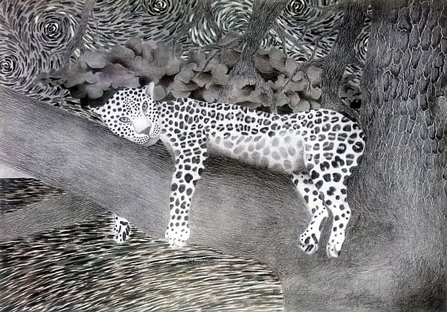 leopard drawing