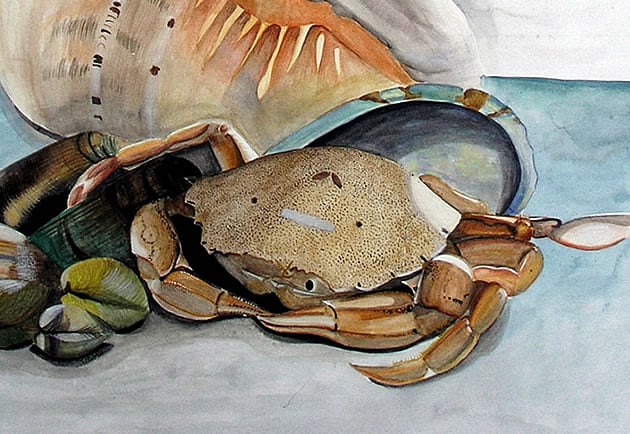 Natural Forms: A beautiful International GCSE Art Exam